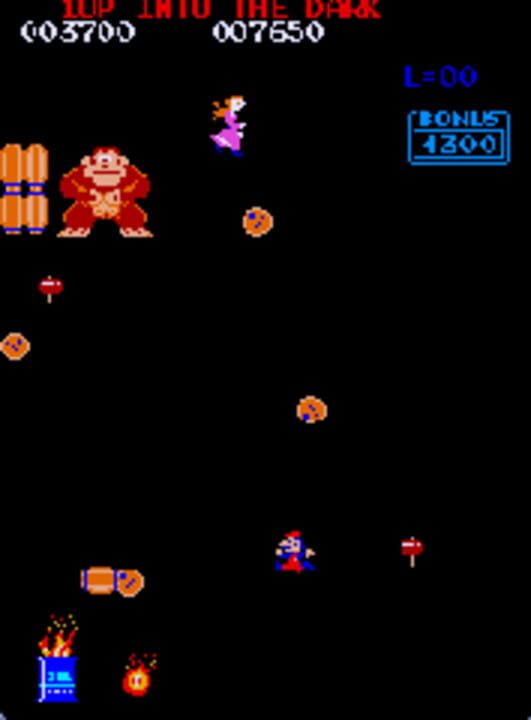 Donkey Kong Into The Dark