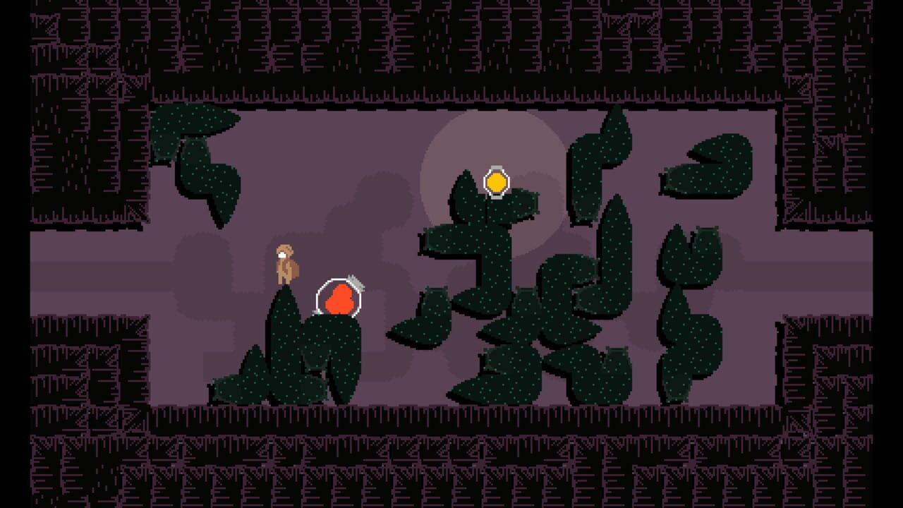 Deliver to When You Came