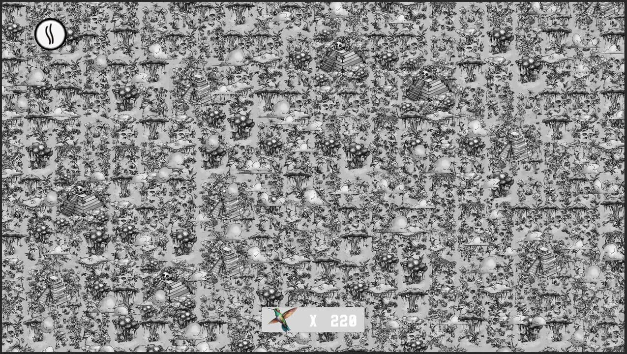Find Colibries