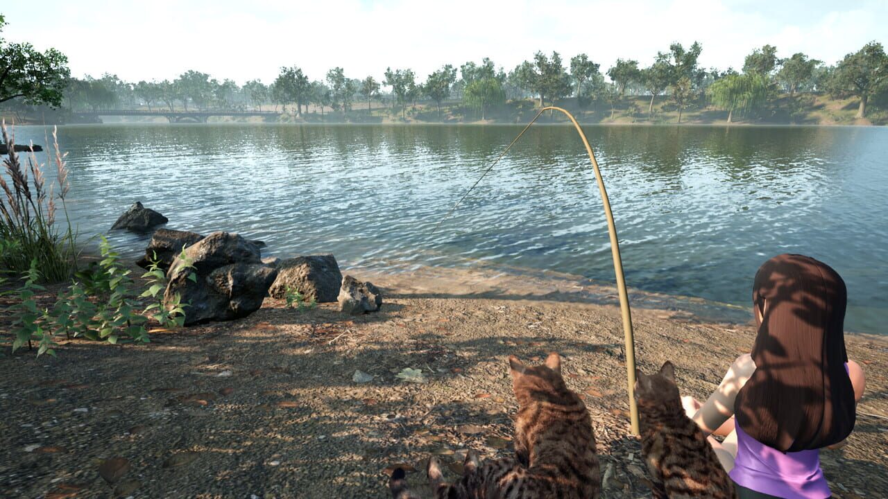 Fishing For Cats