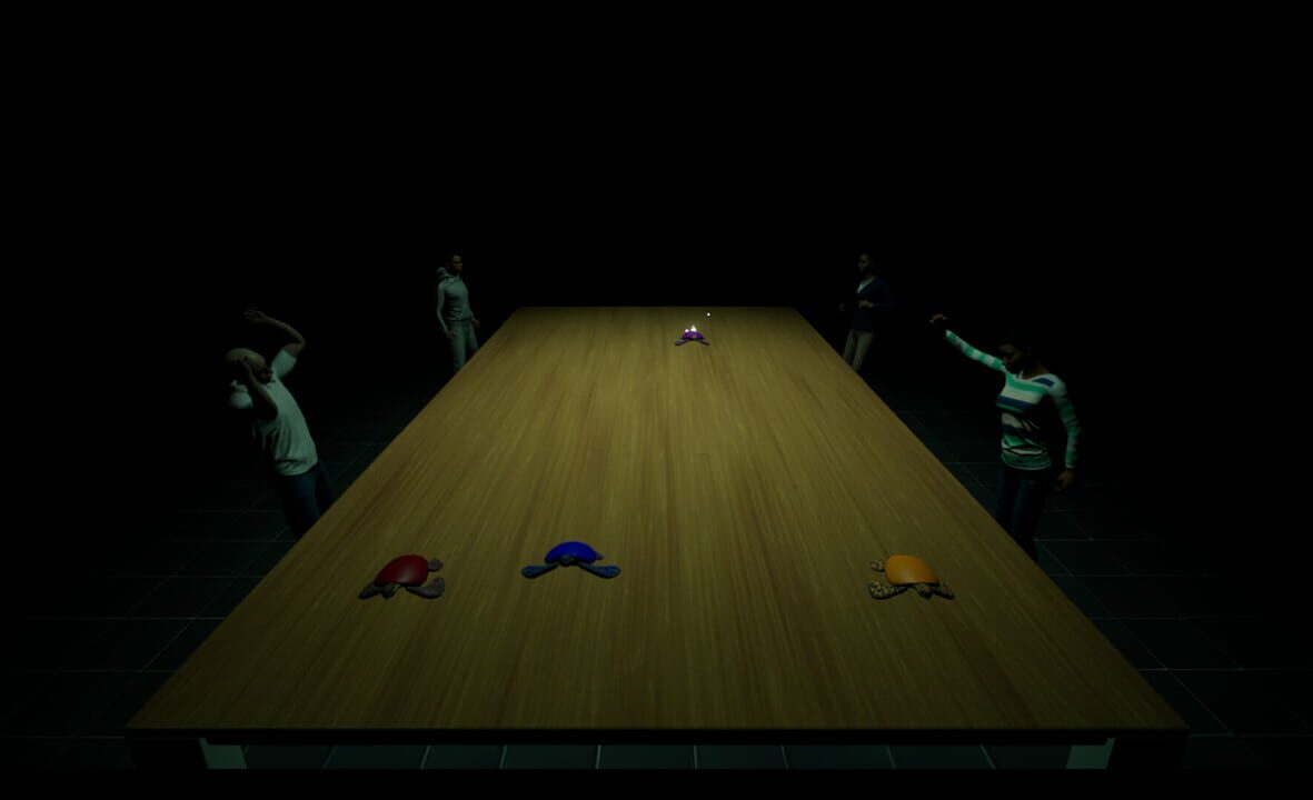 Underground Turtle Races