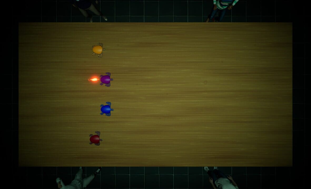 Underground Turtle Races