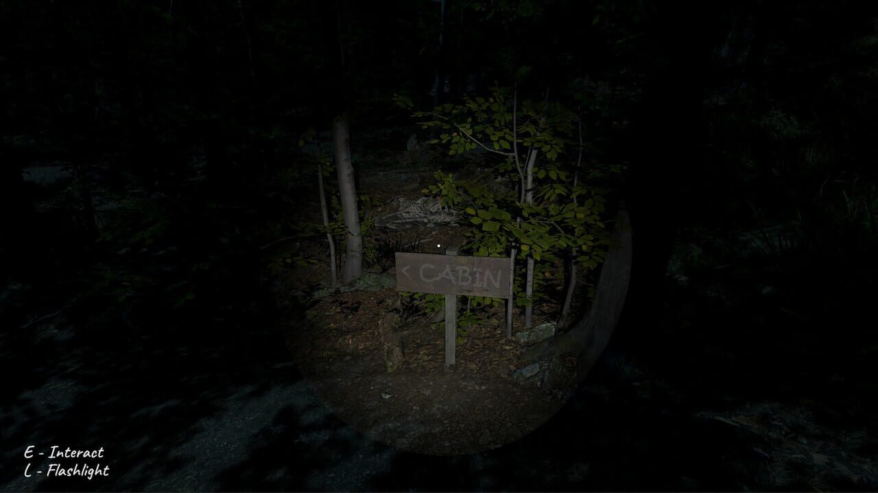 Project Unknown Designation