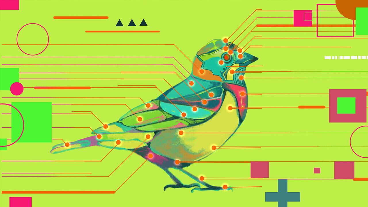 Avian Enigma