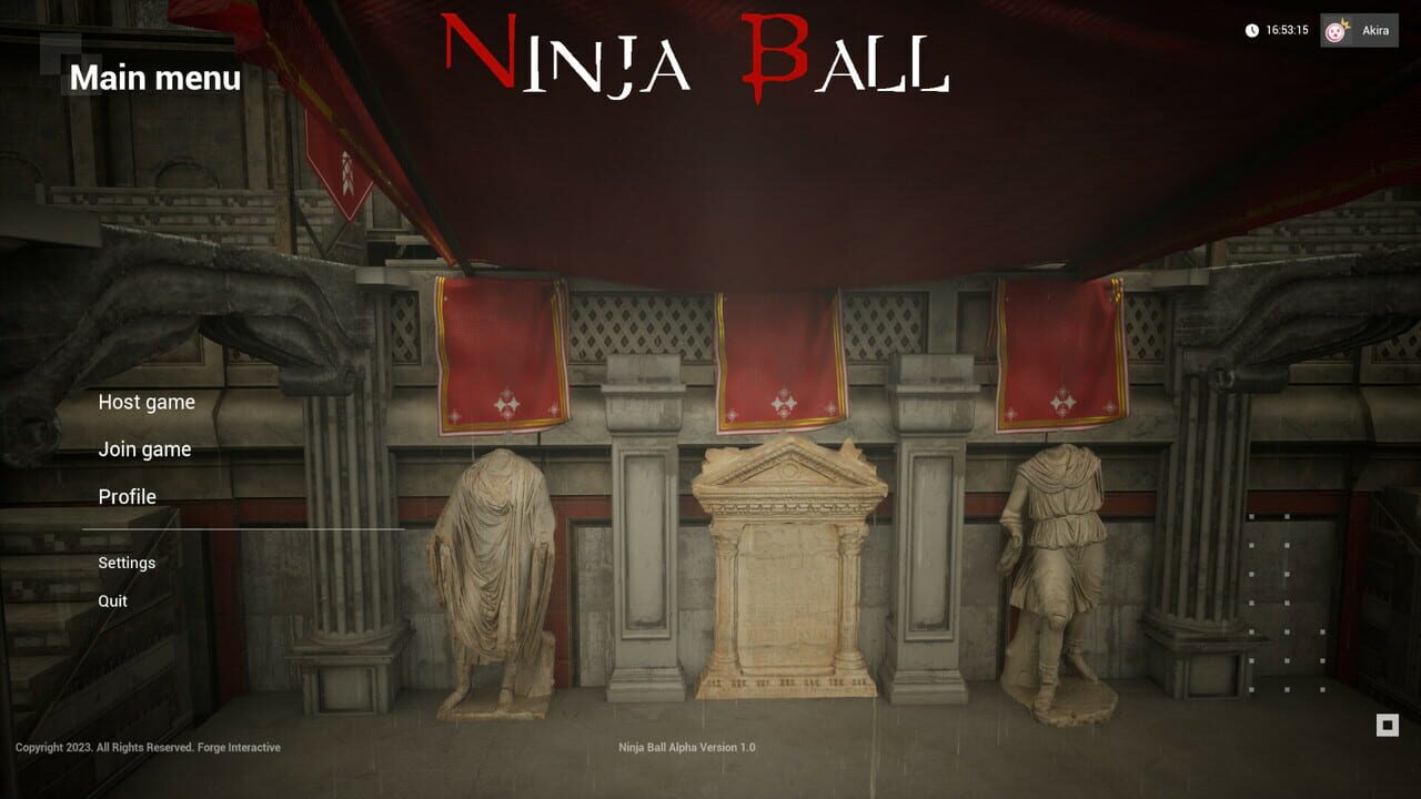 Ninja Ball