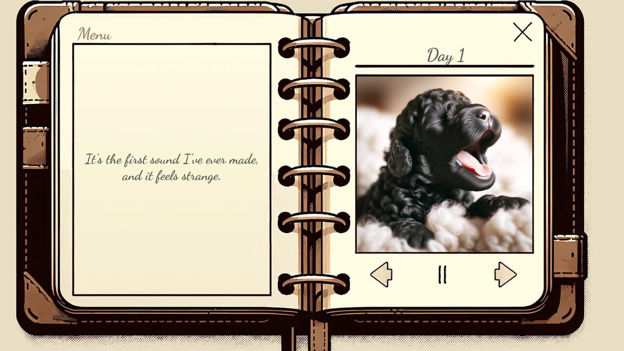 My Poodle’s Diary