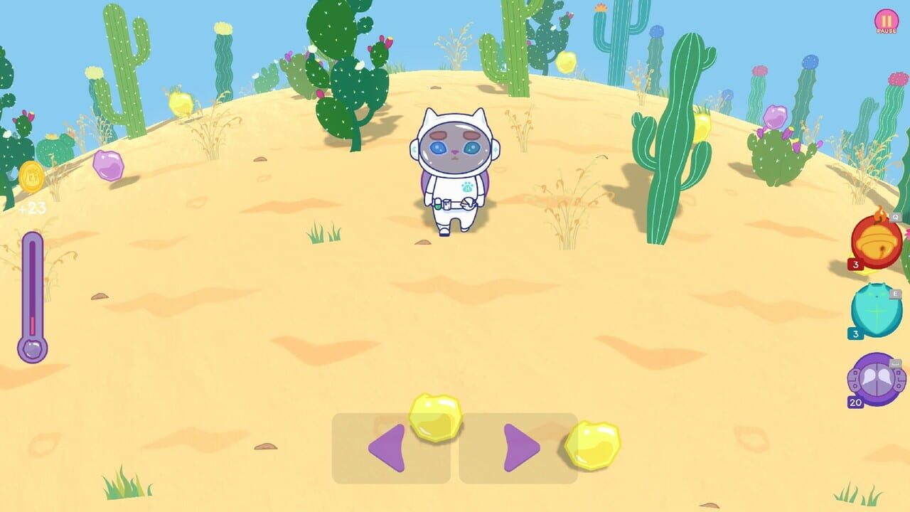 Kiwie vs. Desert: Uniform Pack