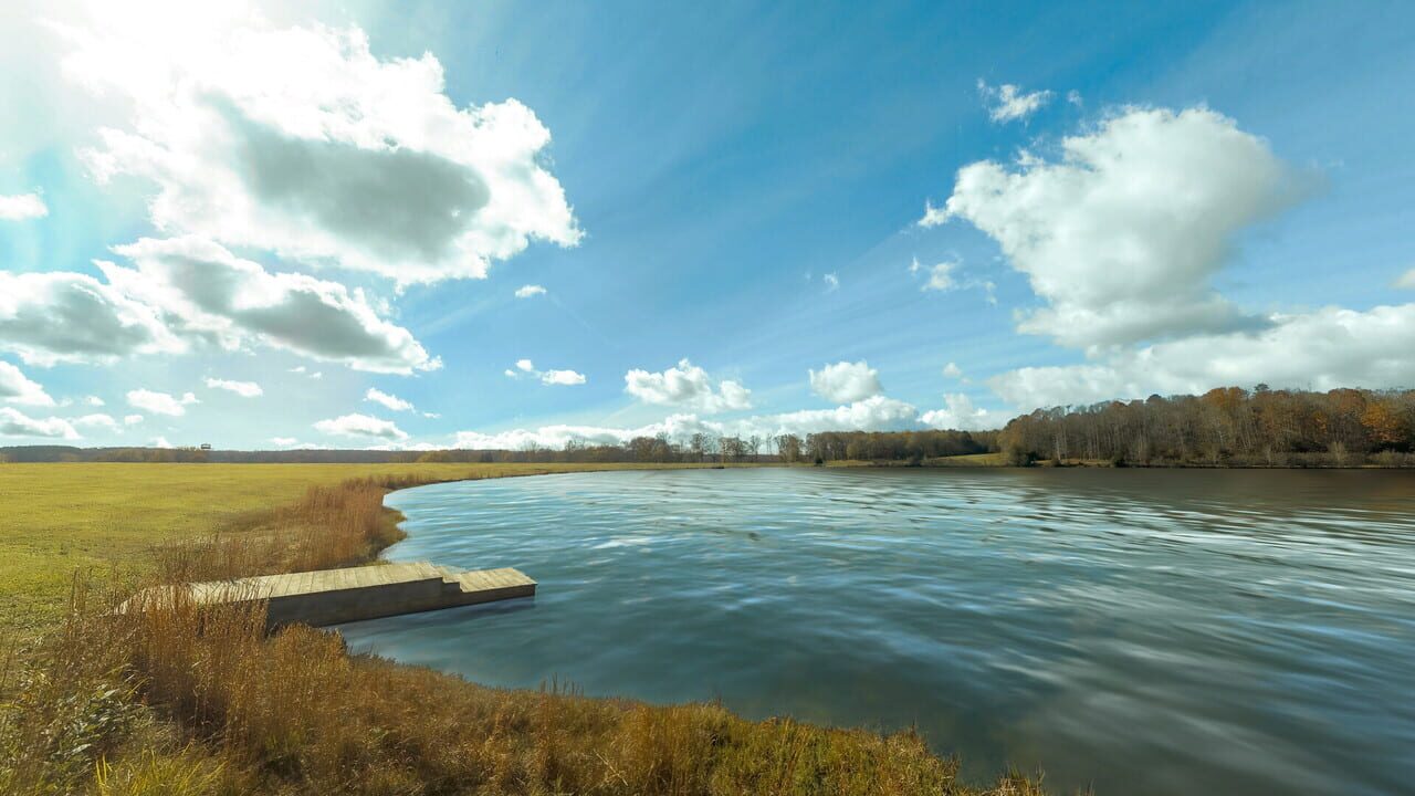 RealFlight Evolution: Triple Tree Float Flight Line