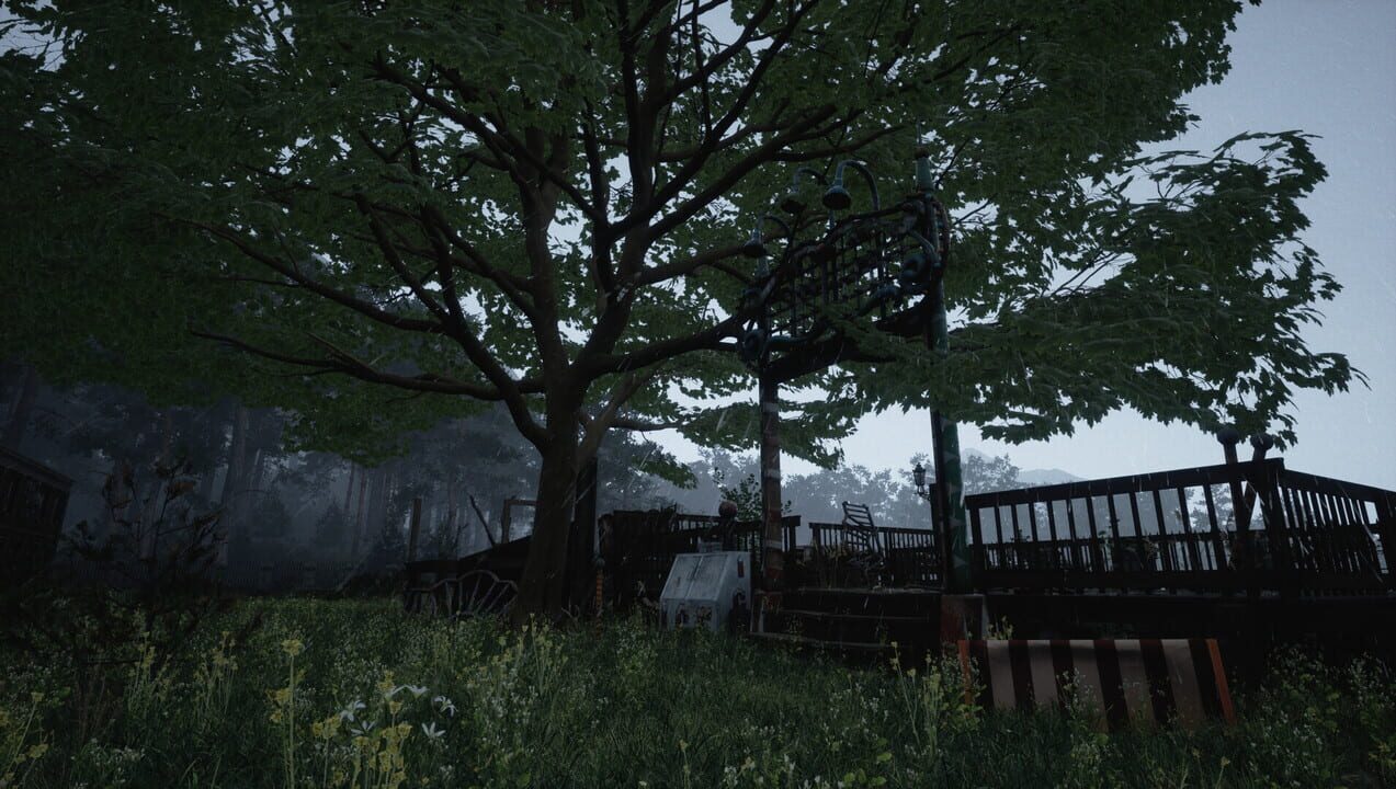 Why Don’t They Laugh?