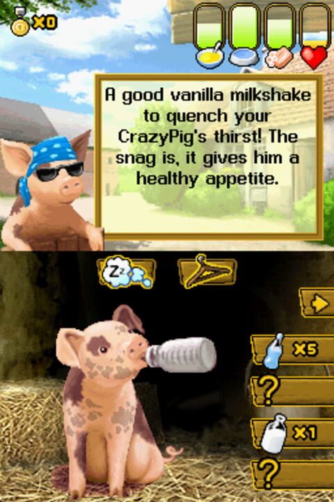 Crazy Pig