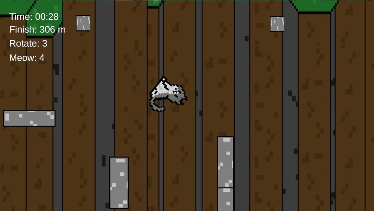 Climbing with Silly Cat