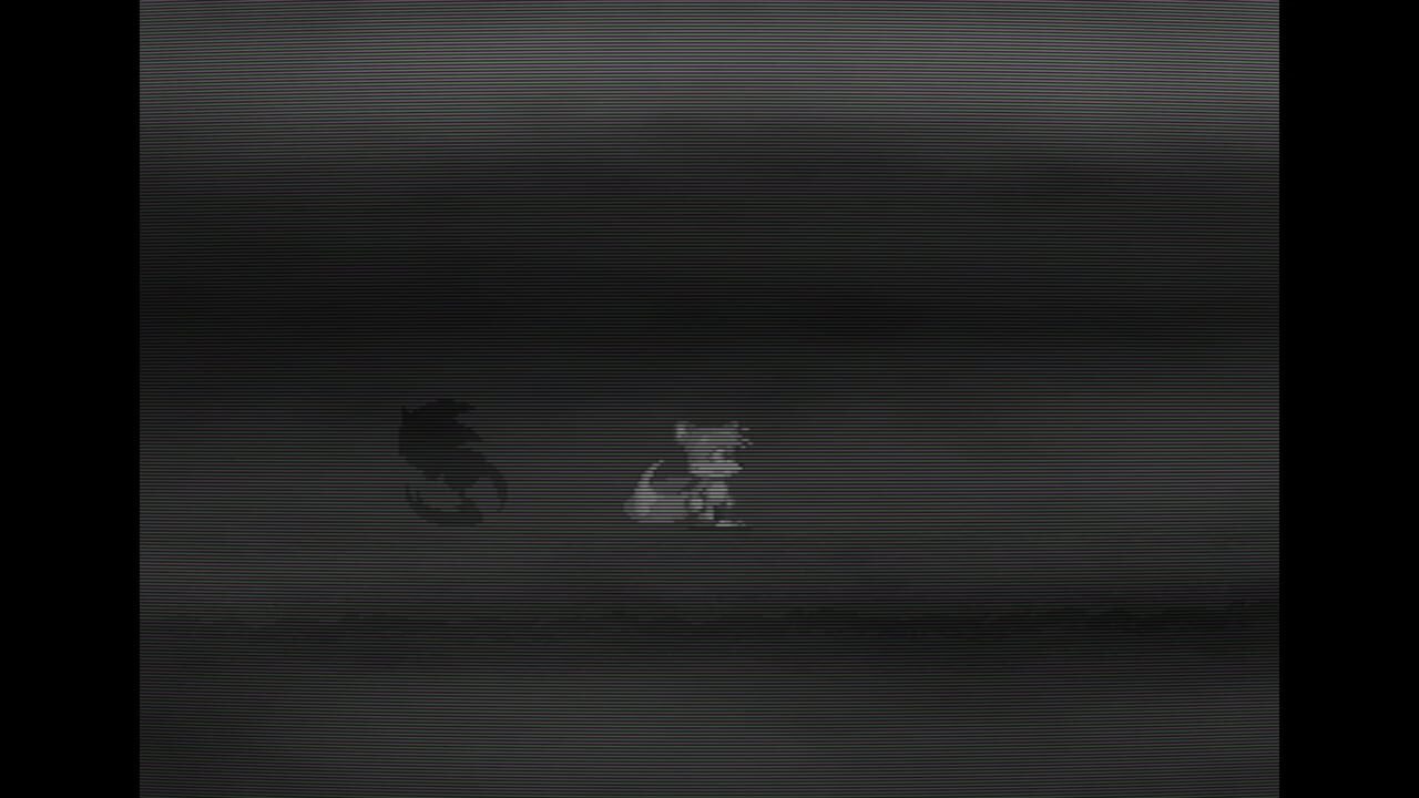 The Devil Within