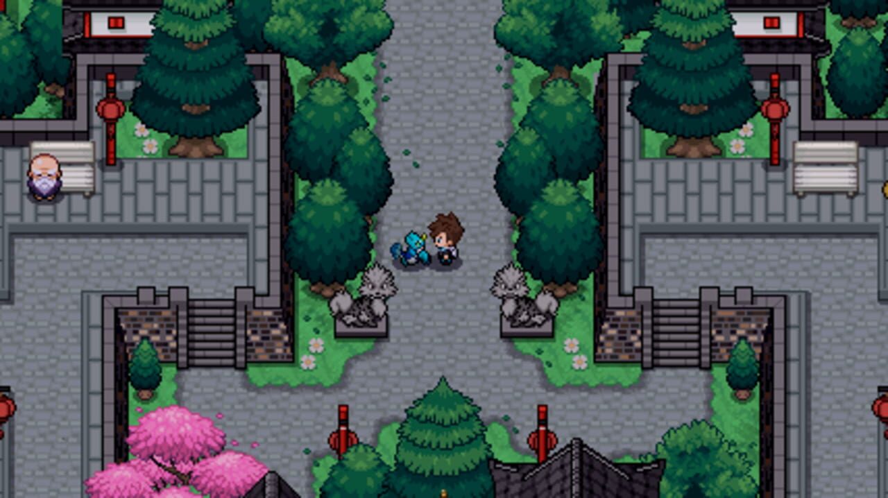 Pokémon Pro