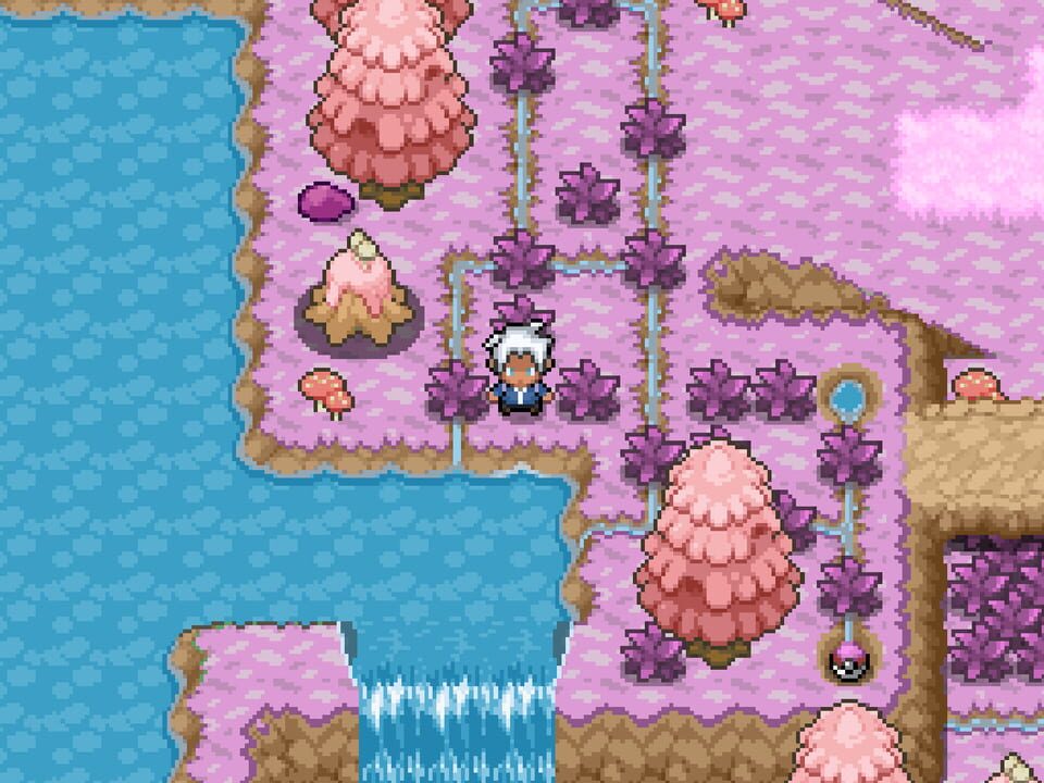 Pokémon Hero