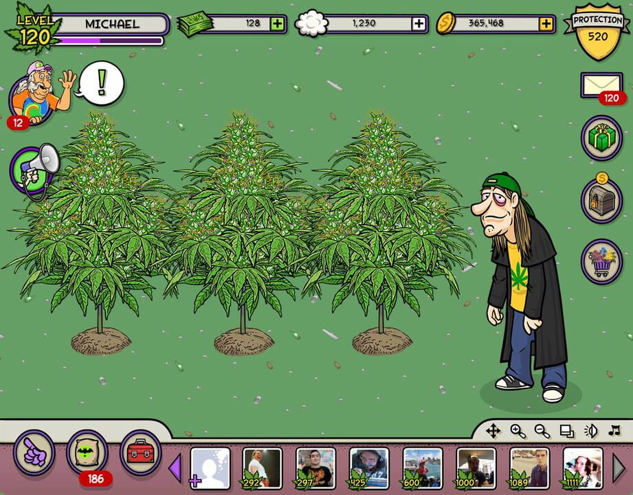 Pot Farm