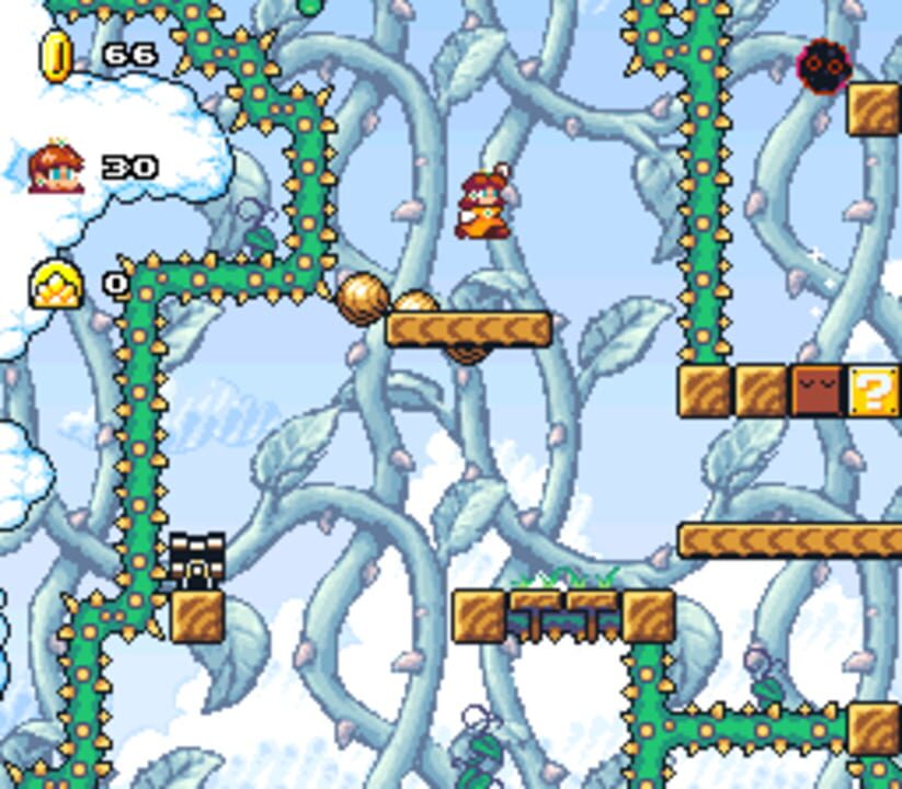 Daisy’s Crazy Adventure