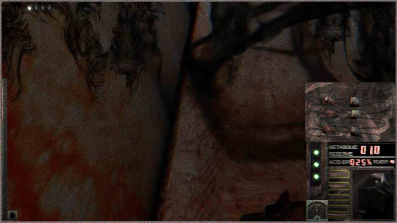 Plastic Spouse Interrogation