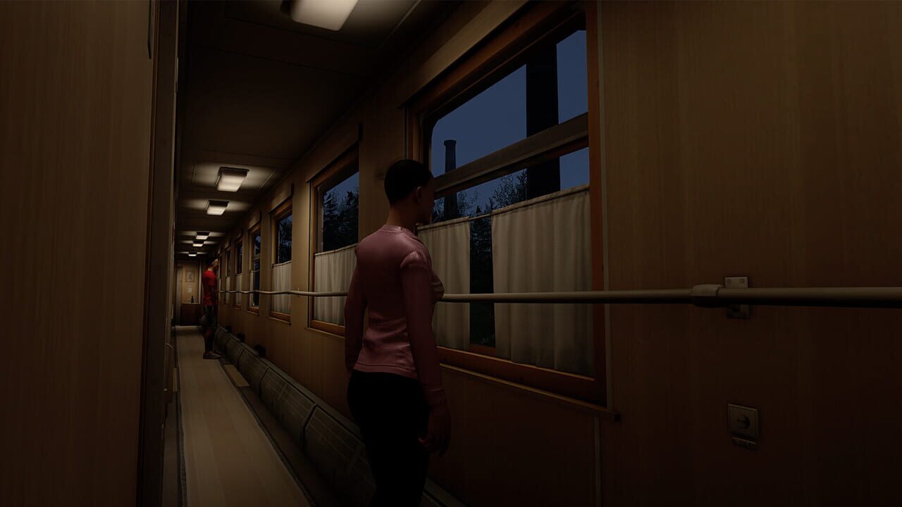 Russian Train Trip 3: People In A Train Car