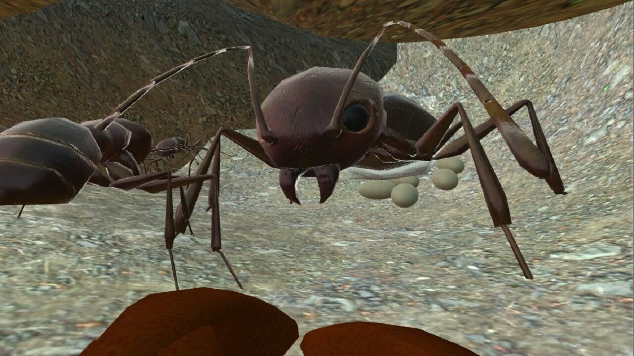 Ant Simulator 3D