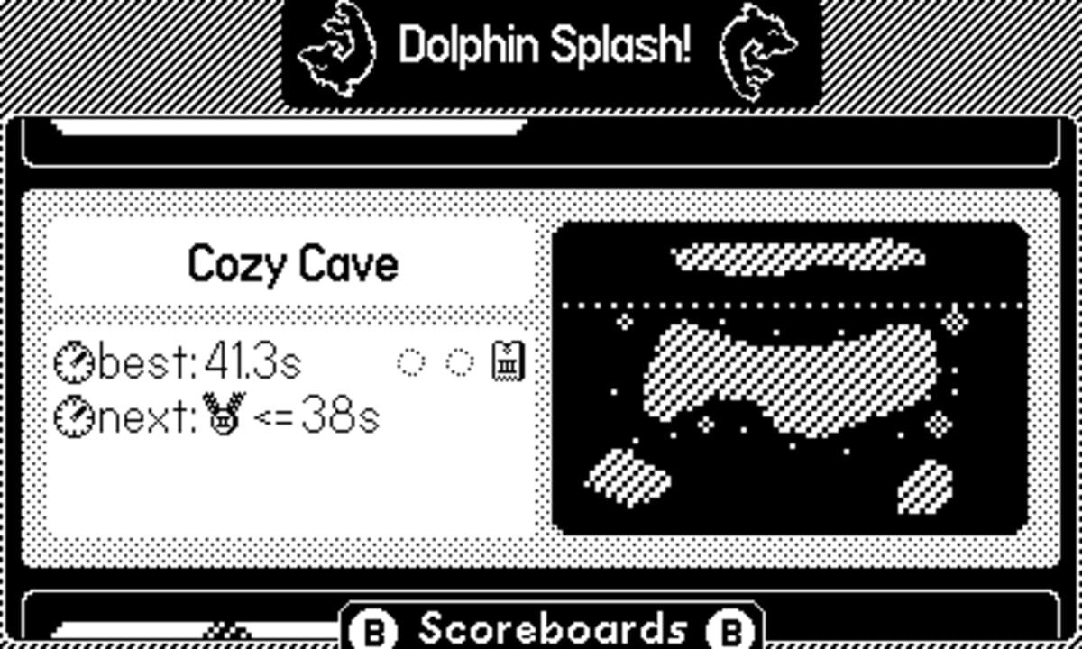 Dolphin Splash!