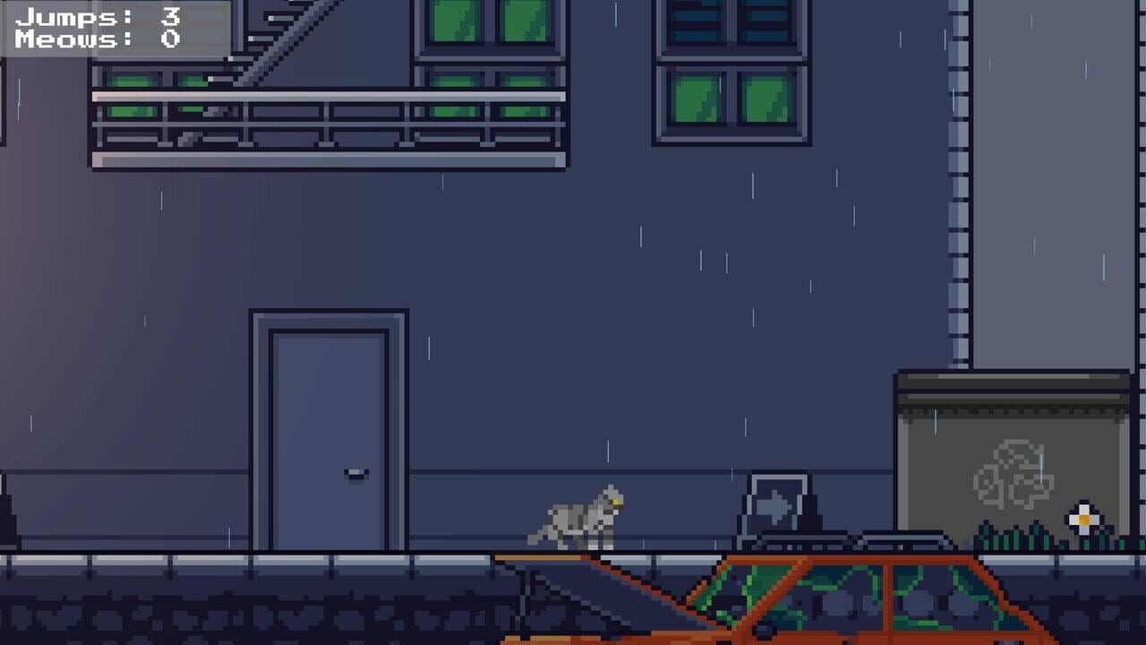 Rooftop Rascal: The Drizzle Cat