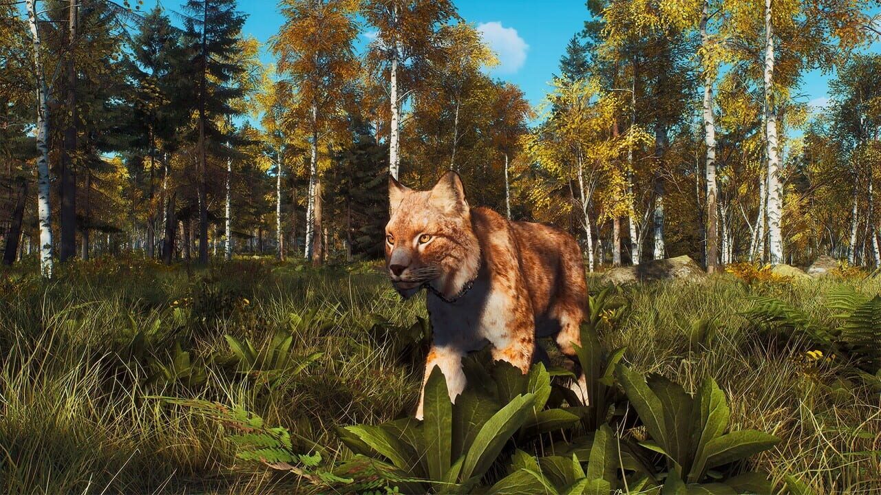 Way of the Hunter: Lintukoto Reserve