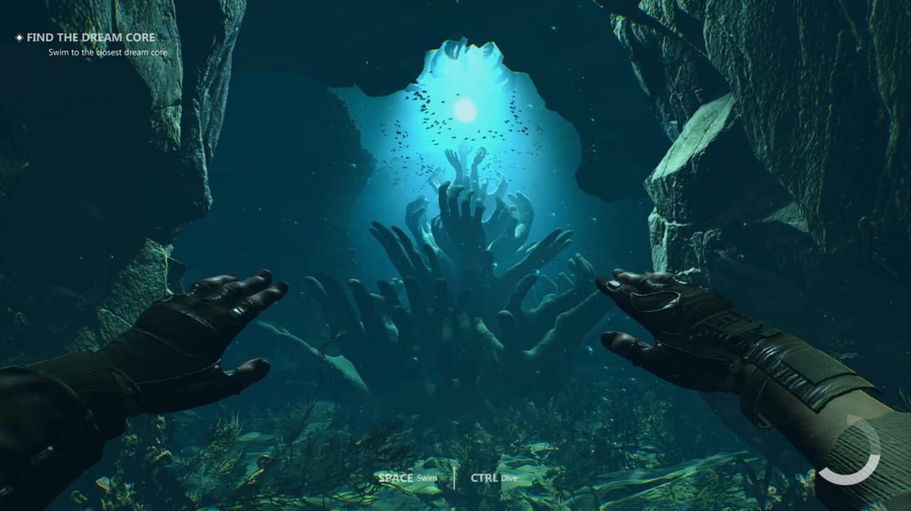 Dream in the Shell
