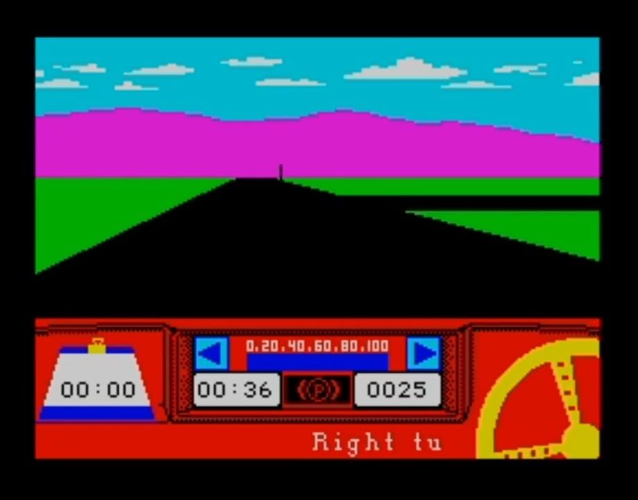 Rally Driver