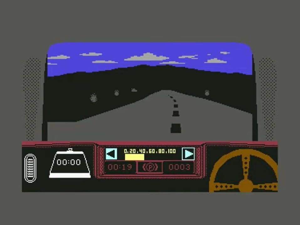 Rally Driver
