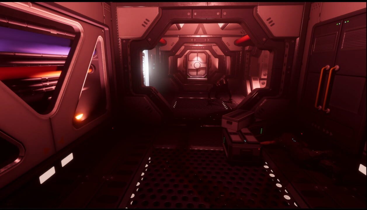 Anomaly Corridor