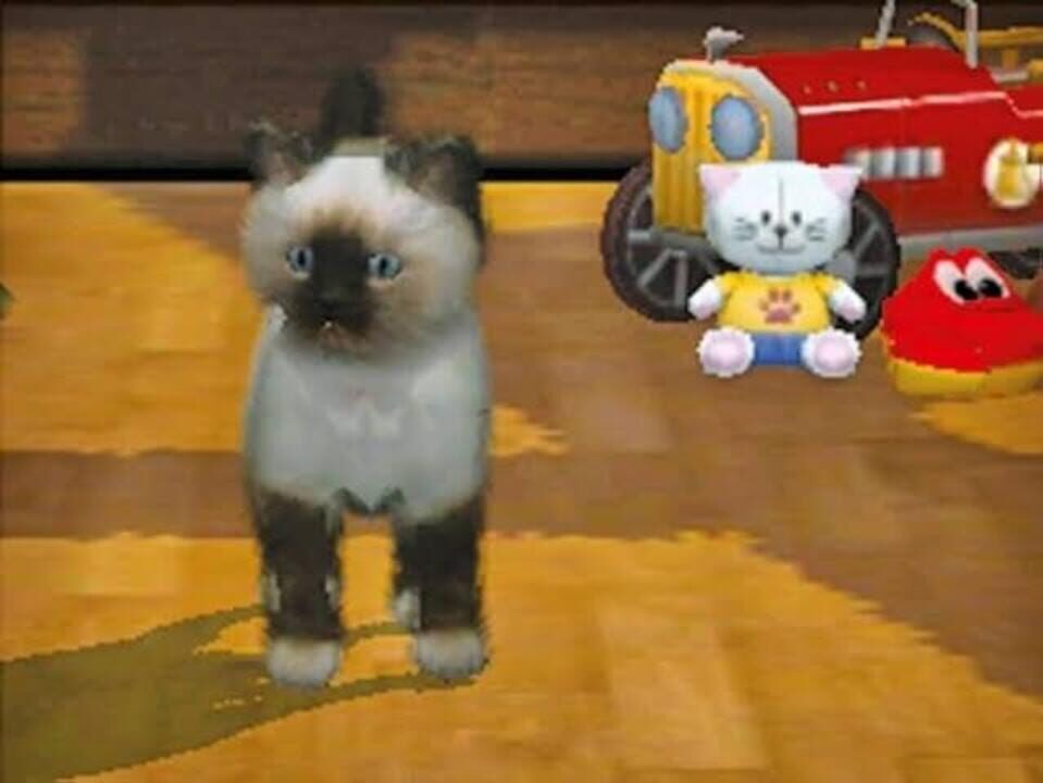 Purr Pals Purrfection