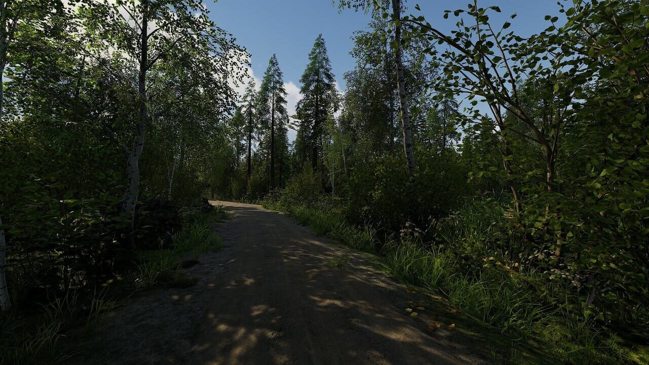 Finnish Cottage Simulator