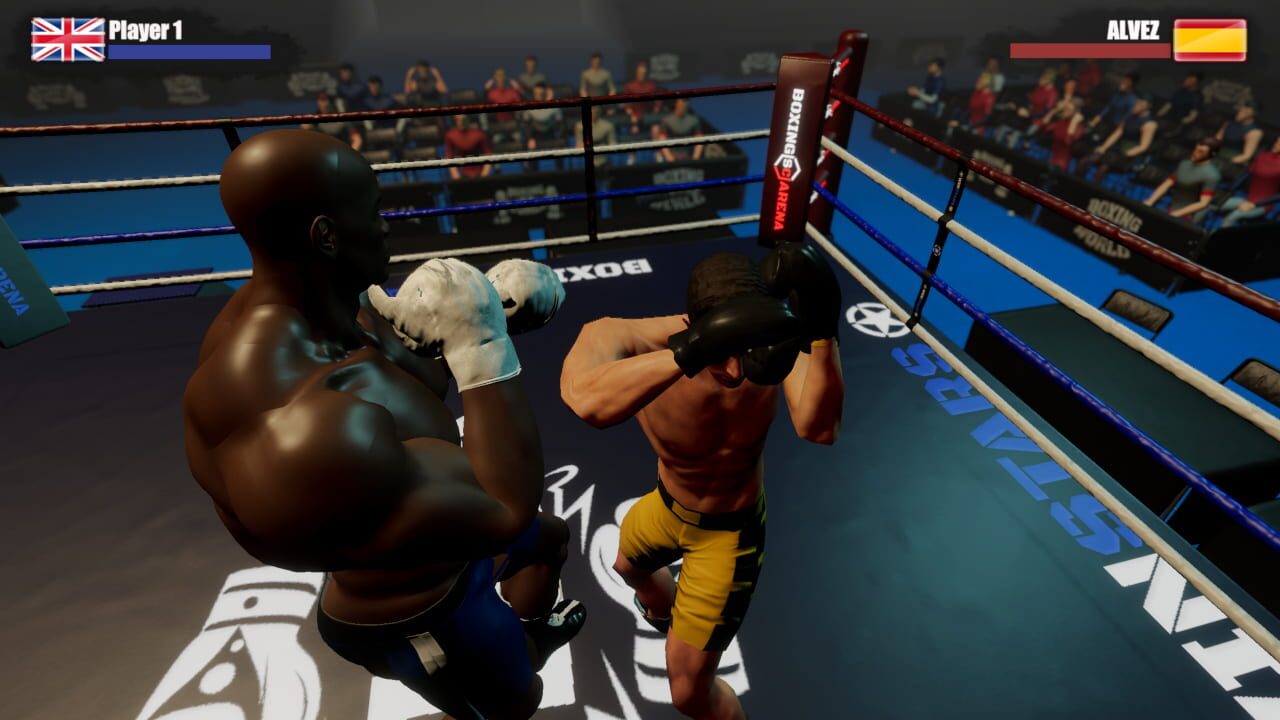 Rookie Boxing
