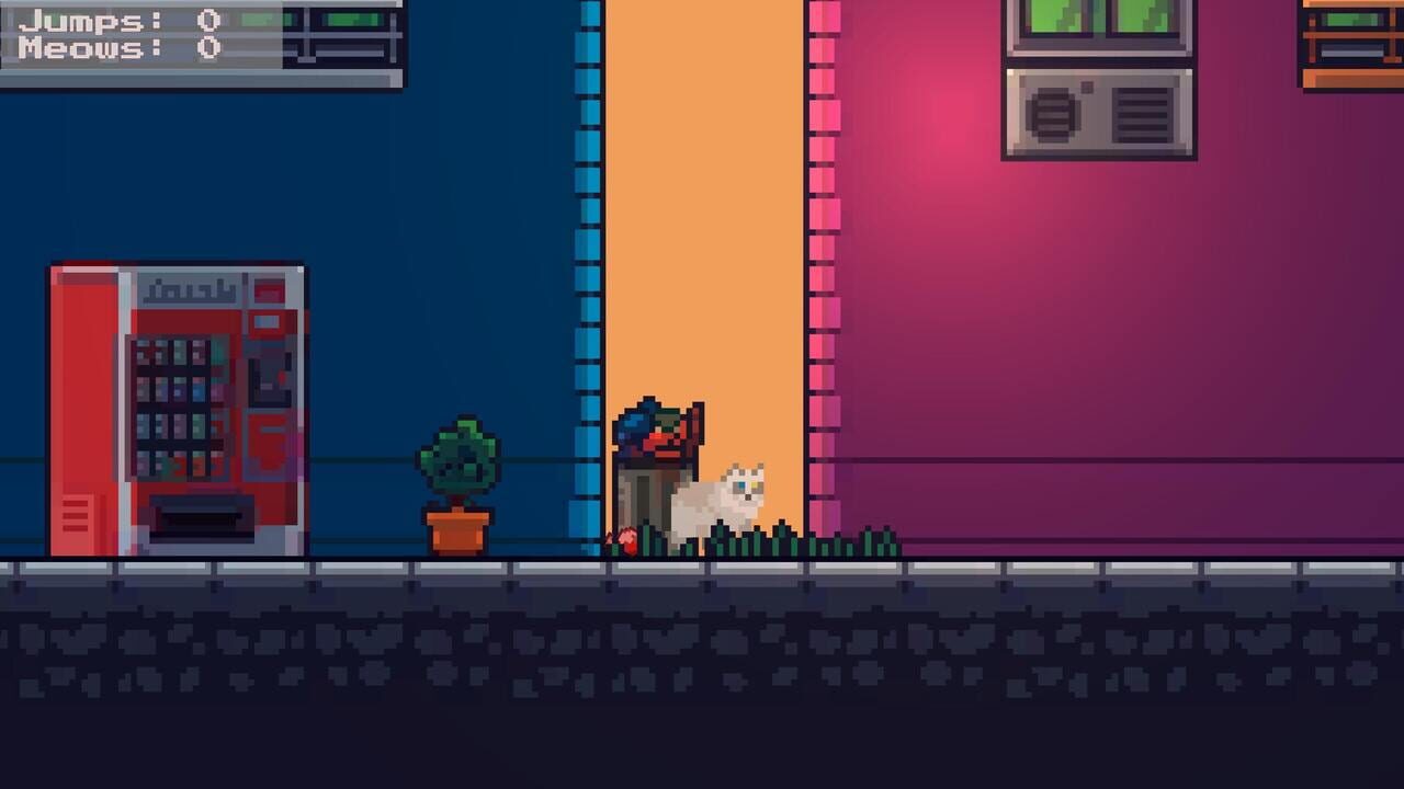 Rooftop Rascal: The Spooky Cat