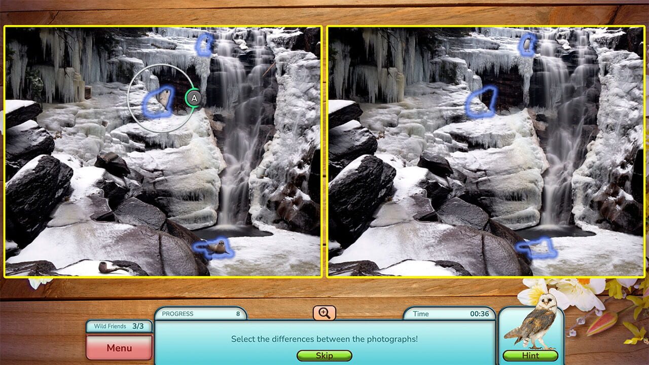 I Love Finding Wild Friends: Collector’s Edition