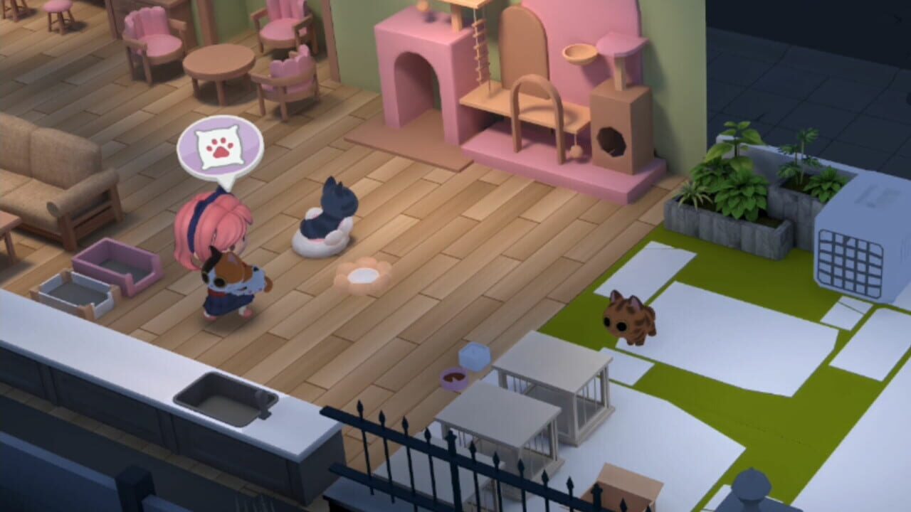 Meow Cafe
