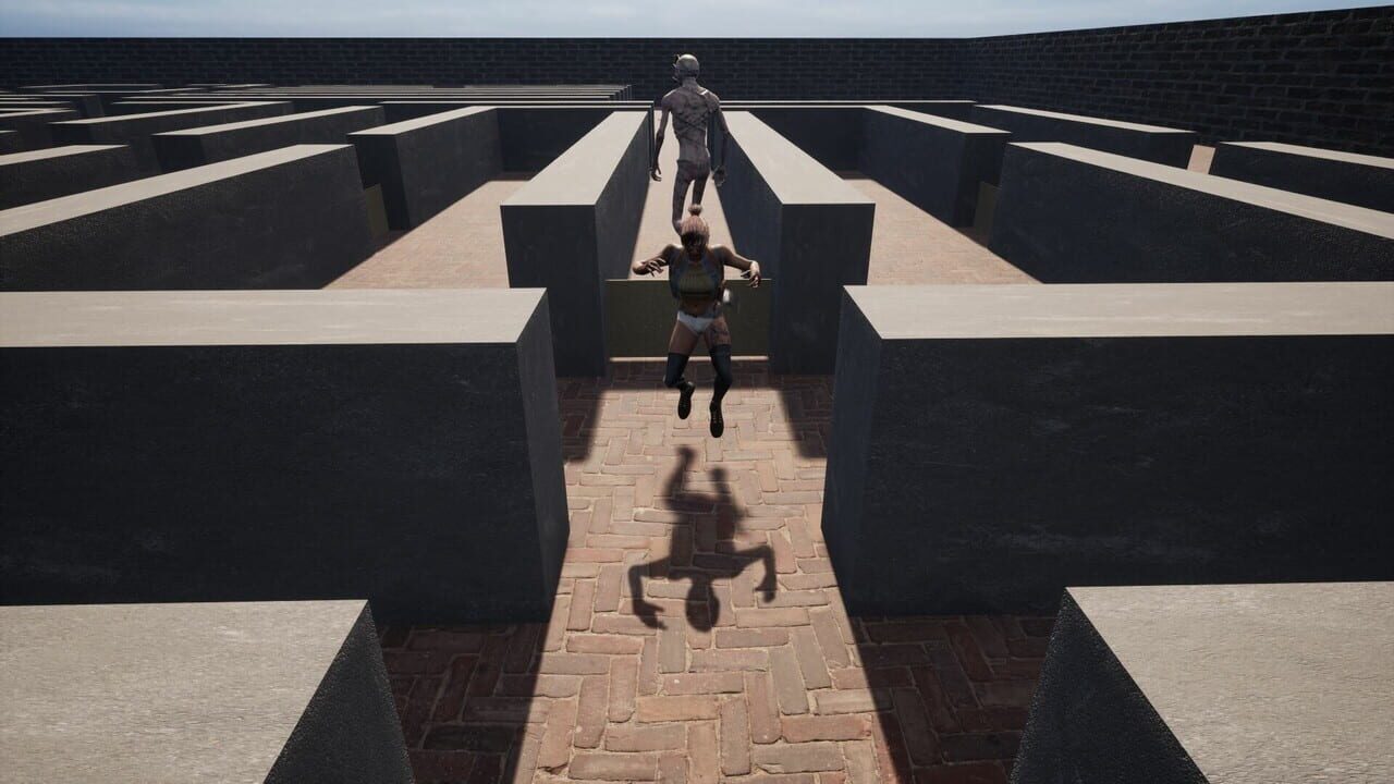 Maze Escape