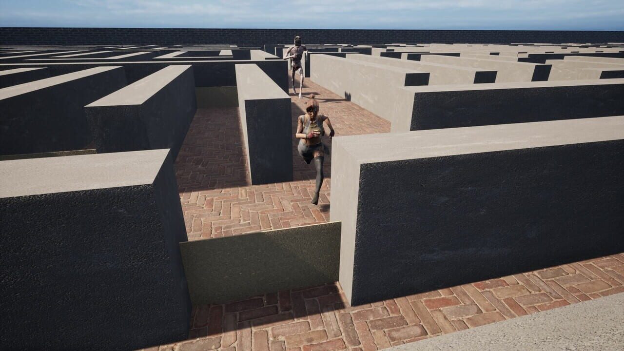 Maze Escape