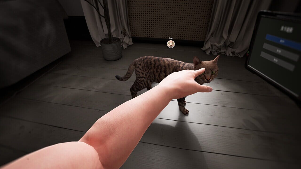 Cat Drift