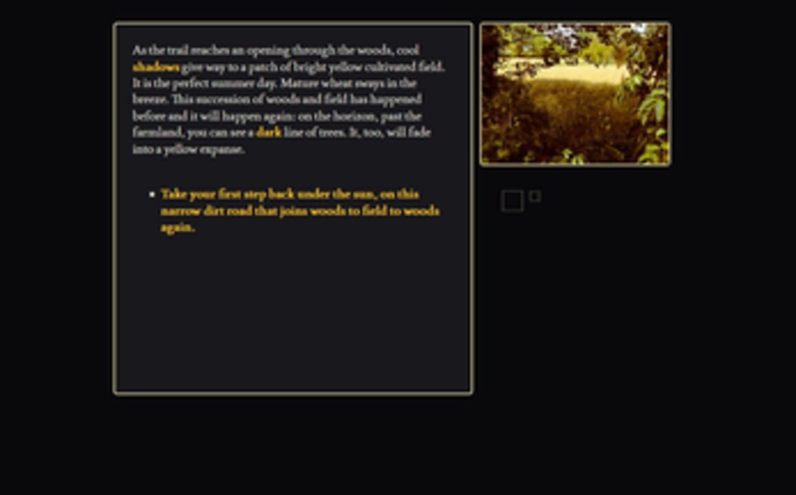 This is a Black Parallelepipedon in a Yellow Field