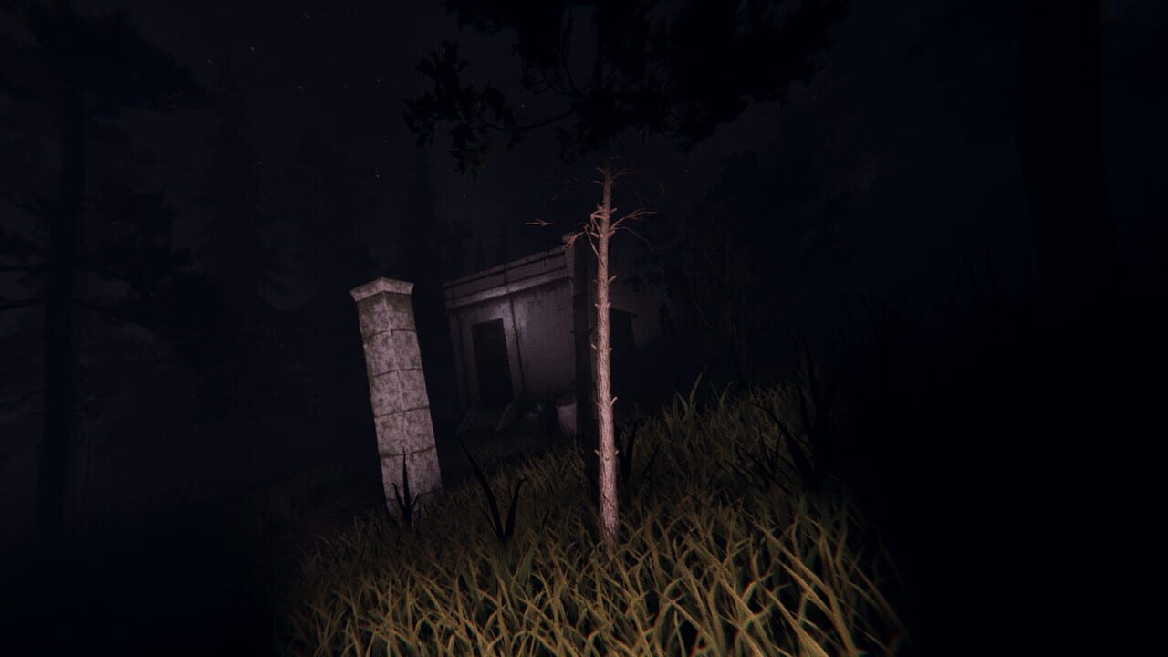 Slender: Dark Woods