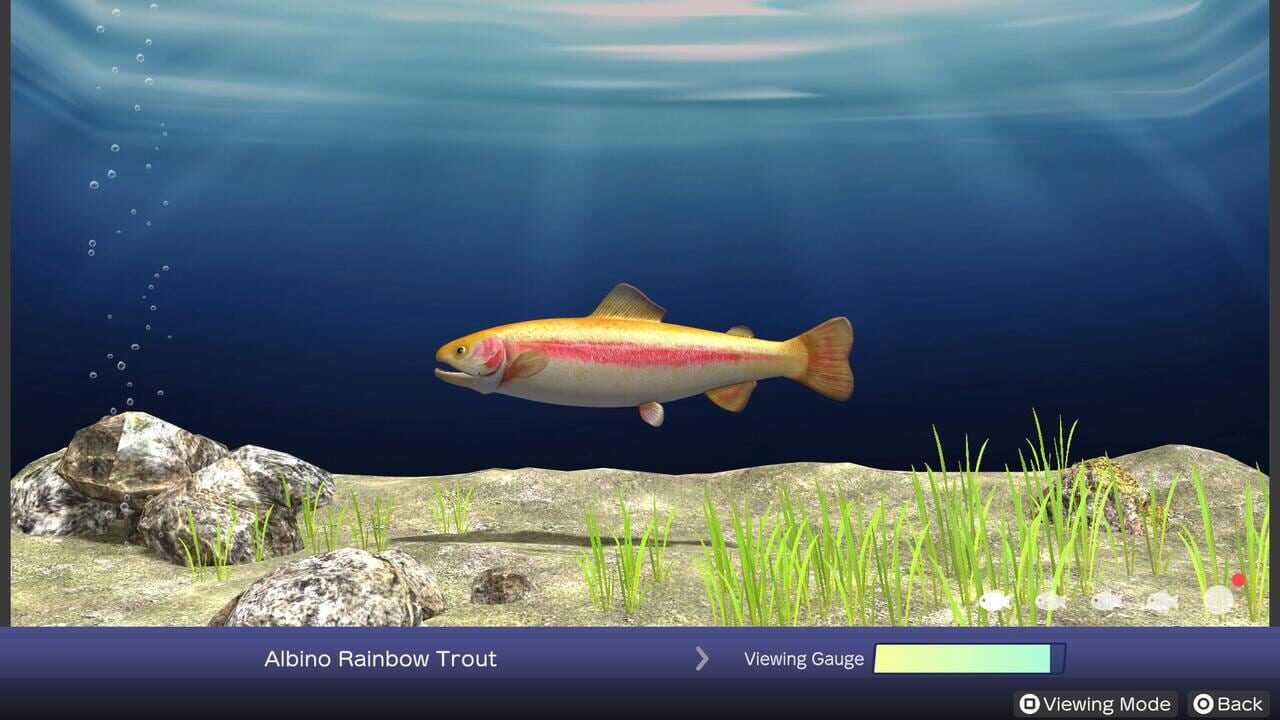 Reel Fishing: Days of Summer