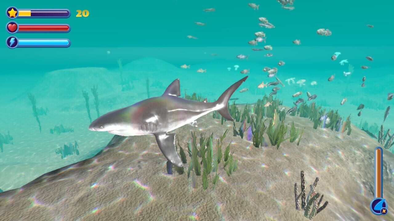 Shark Simulator: Ocean Predator Survival