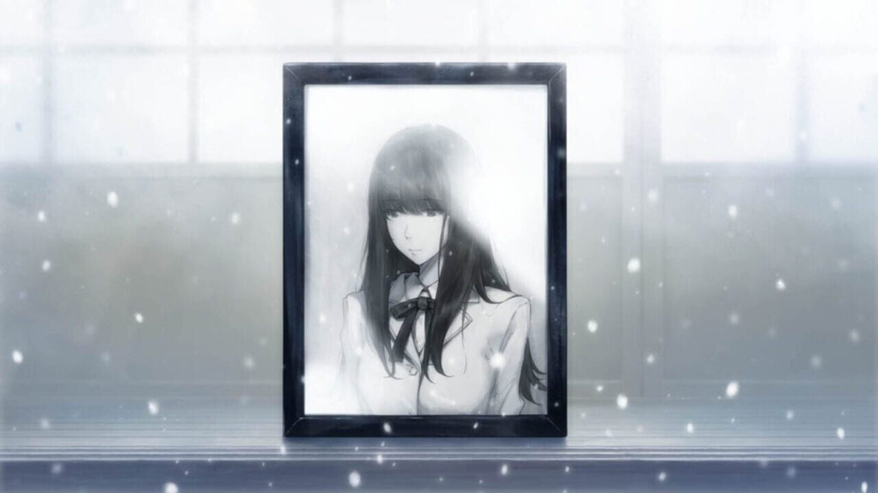 The Shell Part III: Paradiso