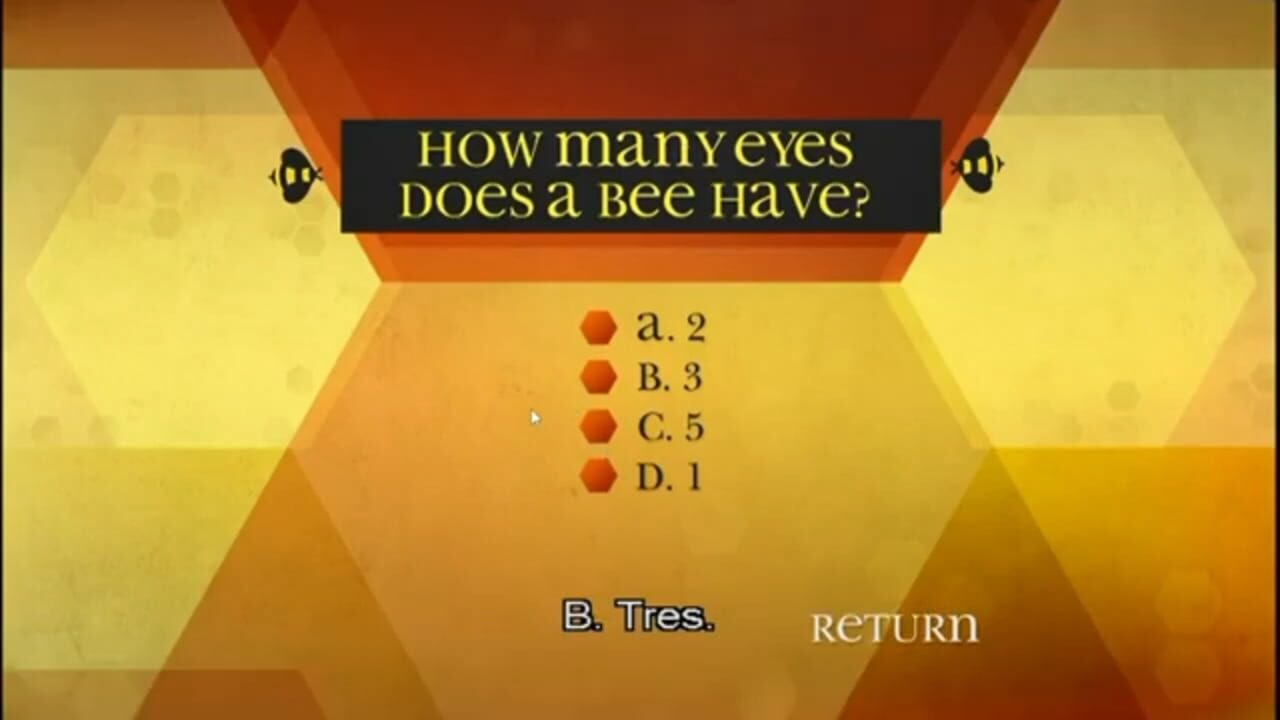 Bee Movie: That’s Un-bee-lievable