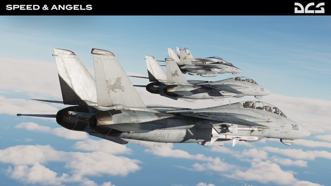 DCS World: F-14 Speed & Angels Campaign by Reflected Simulations