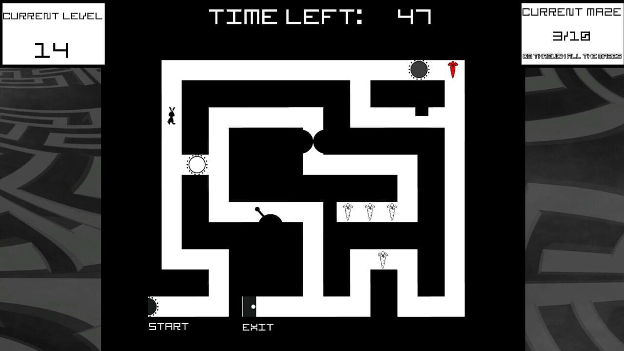 Bunny Mazes