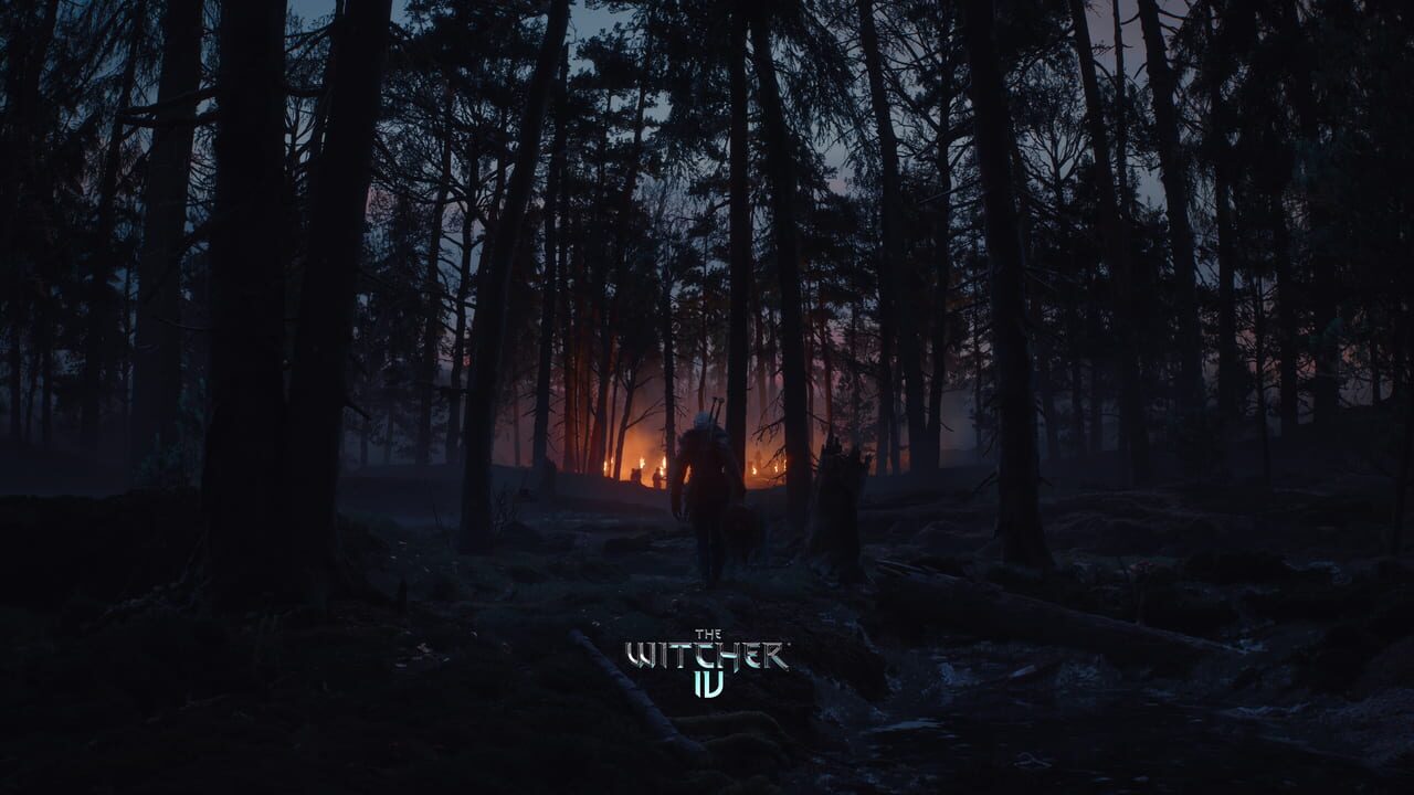 The Witcher IV