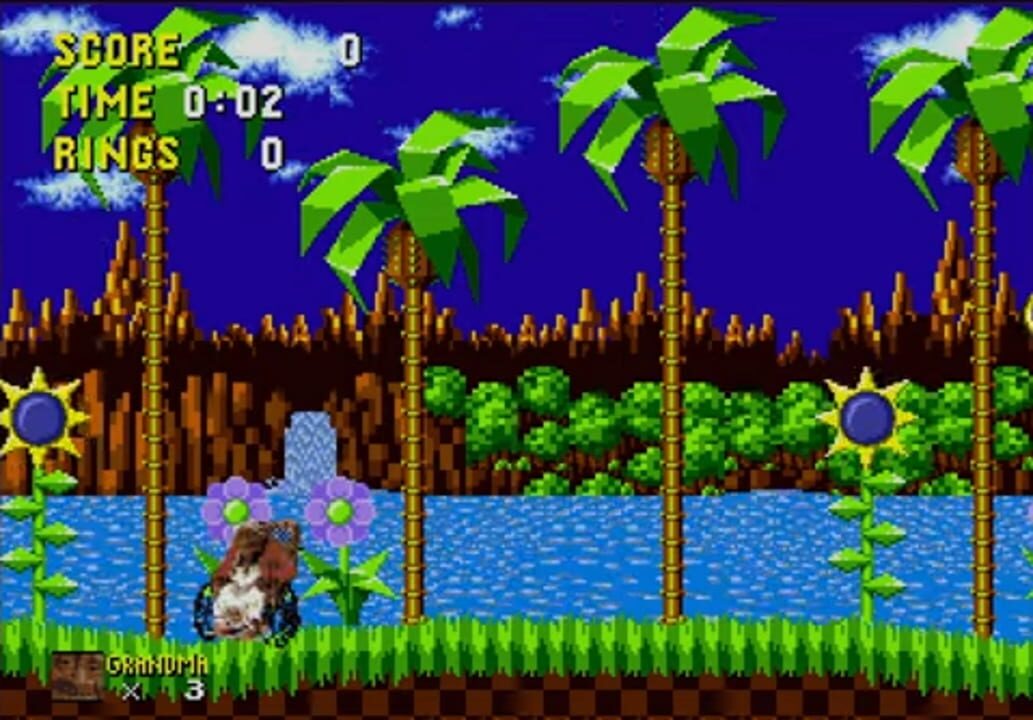 The Grandma from Coco in Sonic 1