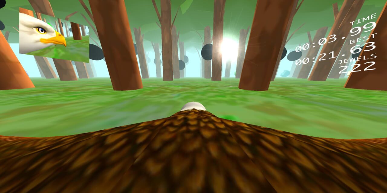 Eagle Ride